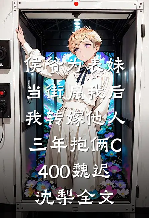 侯爷为表妹当街扇我后，我转嫁他人三年抱俩C400魏迟沈梨全文