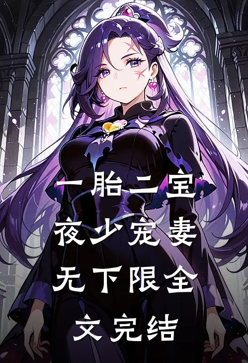 一胎二宝：夜少宠妻无下限全文完结