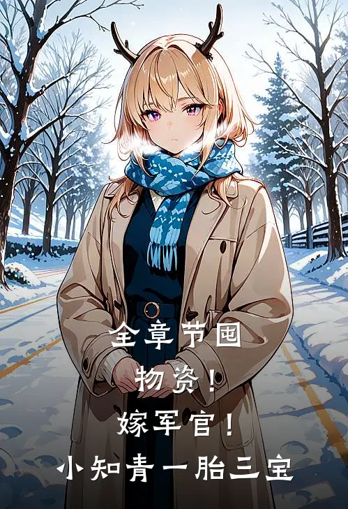 全章节囤物资！嫁军官！小知青一胎三宝