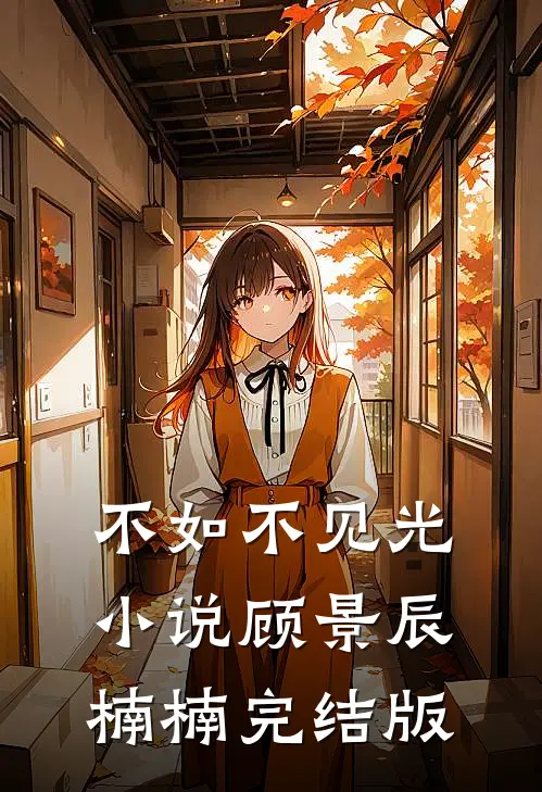 不如不见光小说顾景辰楠楠完结版