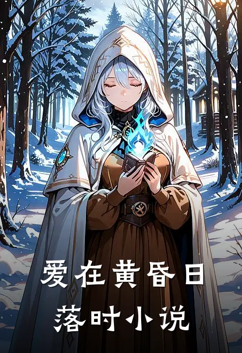 爱在黄昏日落时小说
