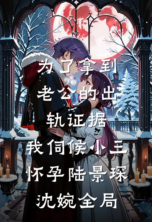 为了拿到老公的出轨证据，我伺候小三怀孕陆景琛沈婉全局