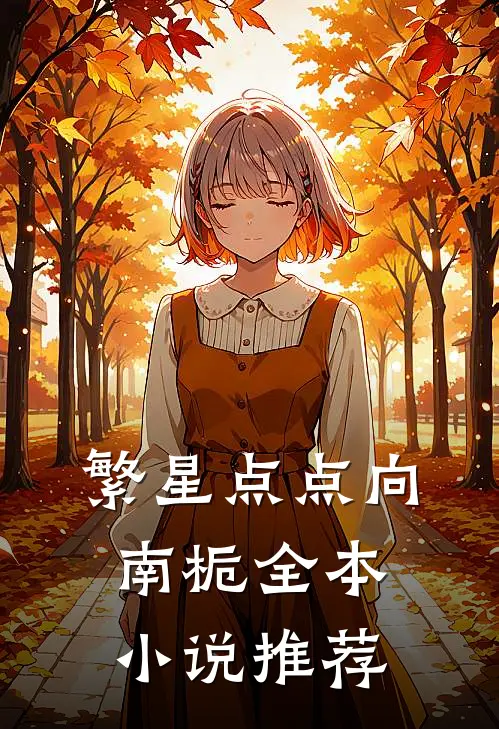 繁星点点向南栀全本小说推荐