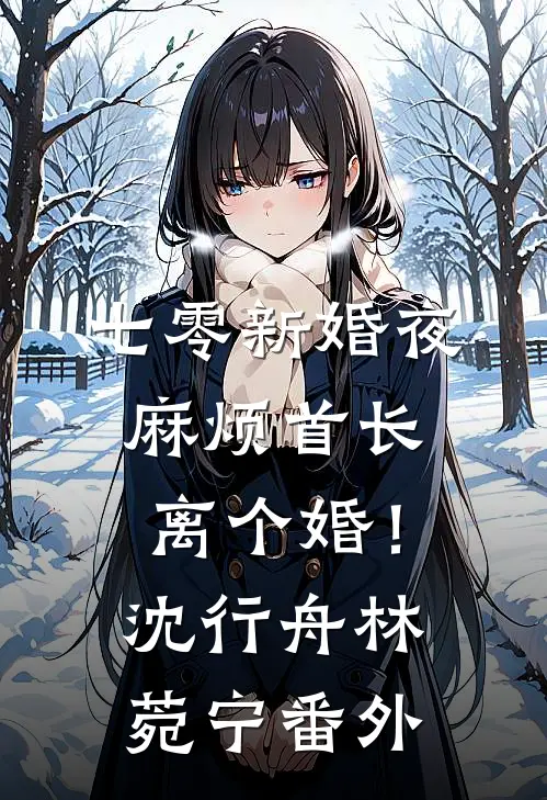 七零新婚夜，麻烦首长离个婚！沈行舟林菀宁 番外
