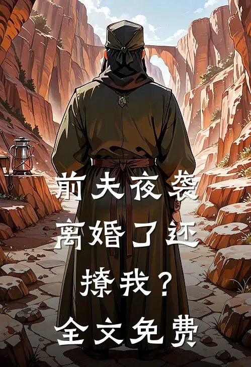 前夫夜袭：离婚了还撩我？全文免费