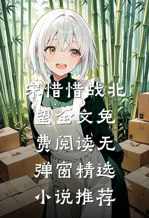 宋惜惜战北望全文免费阅读无弹窗精选小说推荐