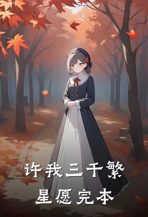 许我三千繁星愿完本