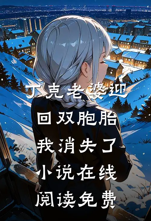 丁克老婆迎回双胞胎，我消失了小说在线阅读免费