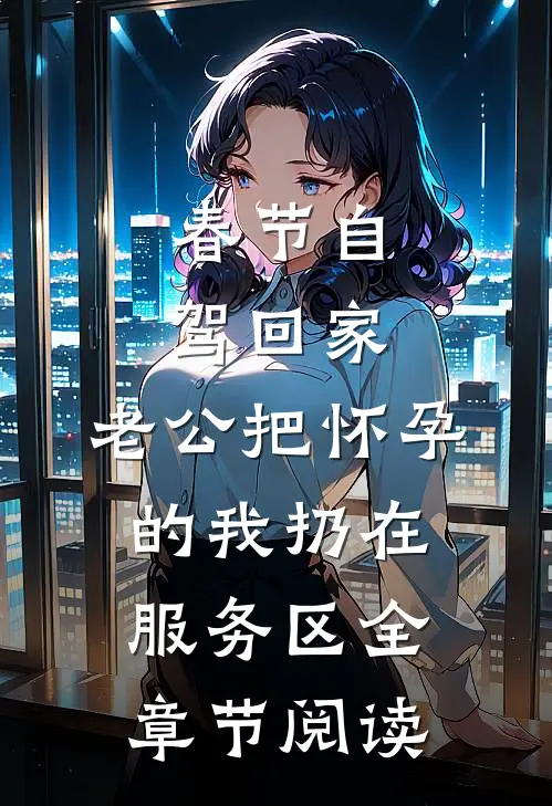 春节自驾回家，老公把怀孕的我扔在服务区全章节阅读