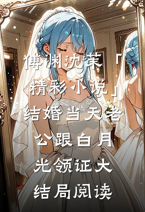 傅渊沈茉「精彩小说」结婚当天老公跟白月光领证大结局阅读