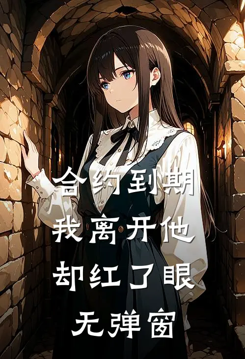合约到期，我离开他却红了眼无弹窗