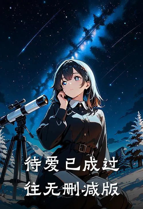 待爱已成过往无删减版