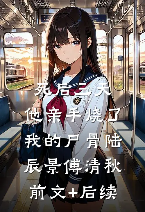 死后三天，他亲手烧了我的尸骨陆辰景傅清秋前文+后续