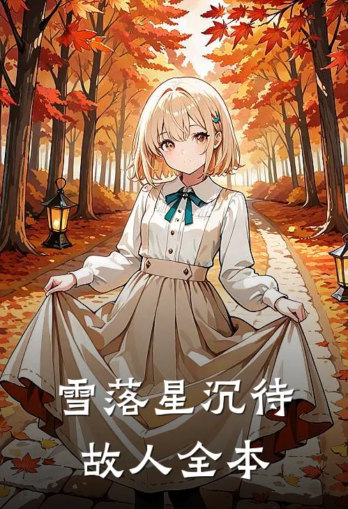 雪落星沉待故人全本