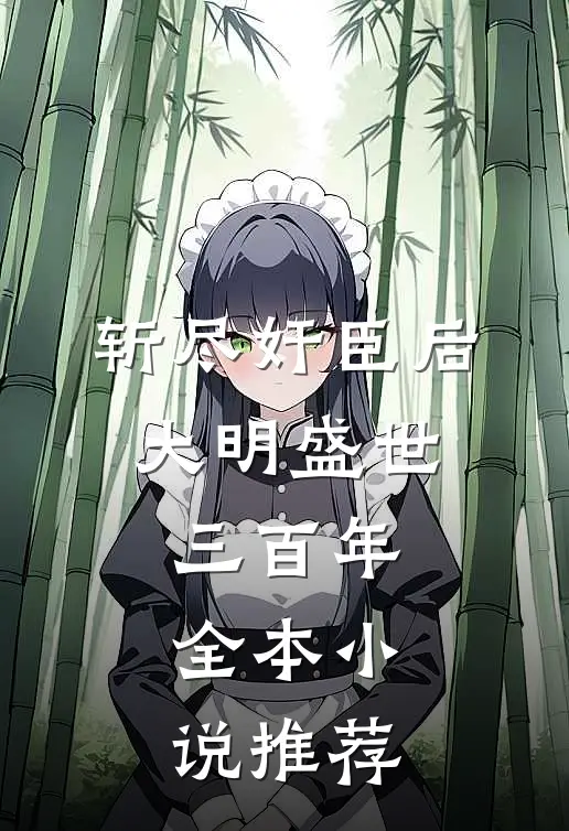 斩尽奸臣后，大明盛世三百年全本小说推荐
