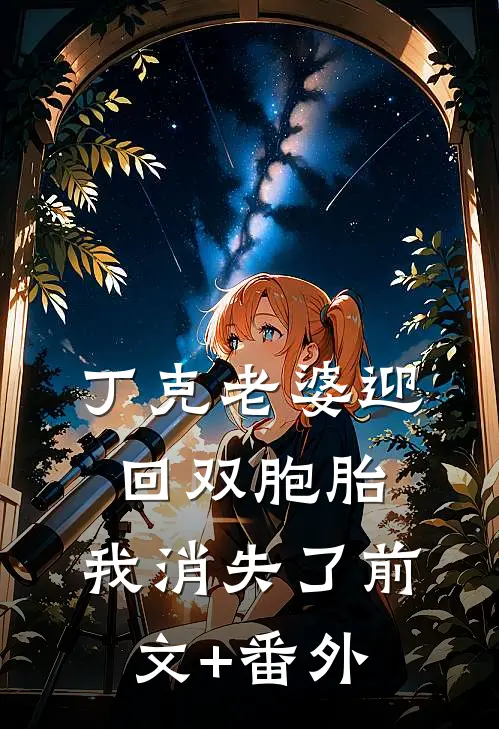 丁克老婆迎回双胞胎，我消失了前文+番外