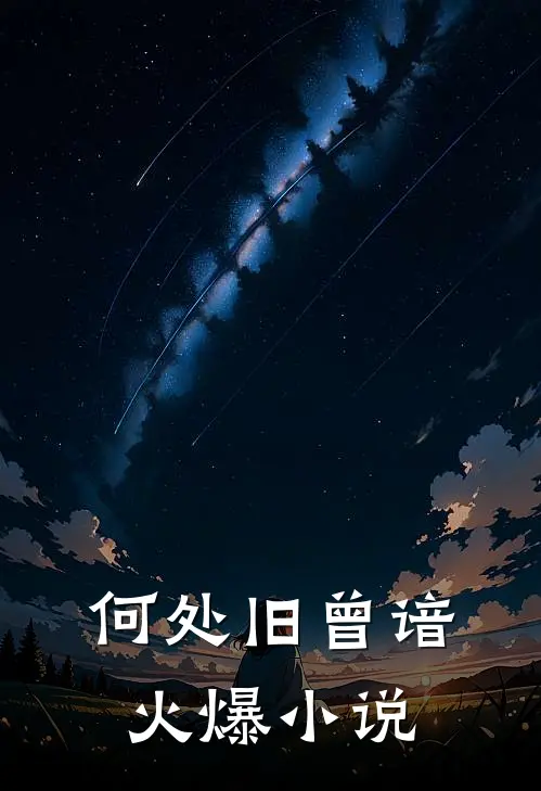 何处旧曾谙火爆小说