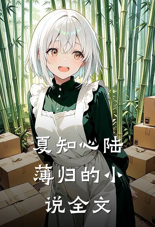夏知心陆薄归的小说全文