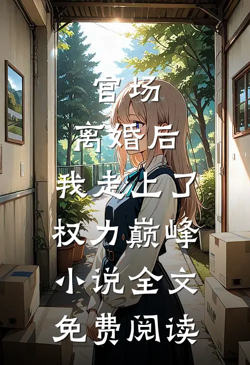 官场：离婚后，我走上了权力巅峰小说全文免费阅读