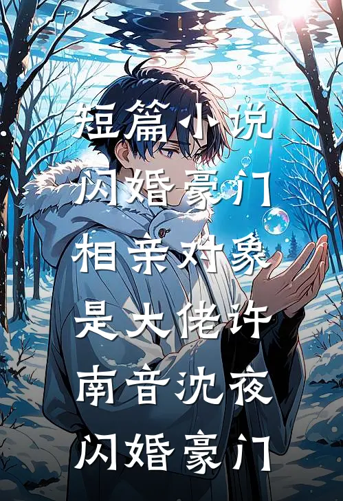 短篇小说闪婚豪门:相亲对象是大佬许南音沈夜,闪婚豪门