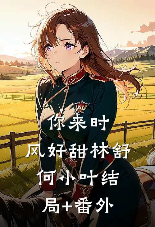 你来时，风好甜林舒何小叶结局+番外