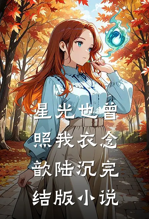 星光也曾照我衣念歆陆沉完结版小说
