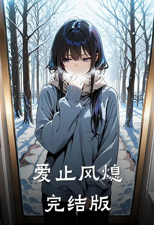 爱止风熄完结版