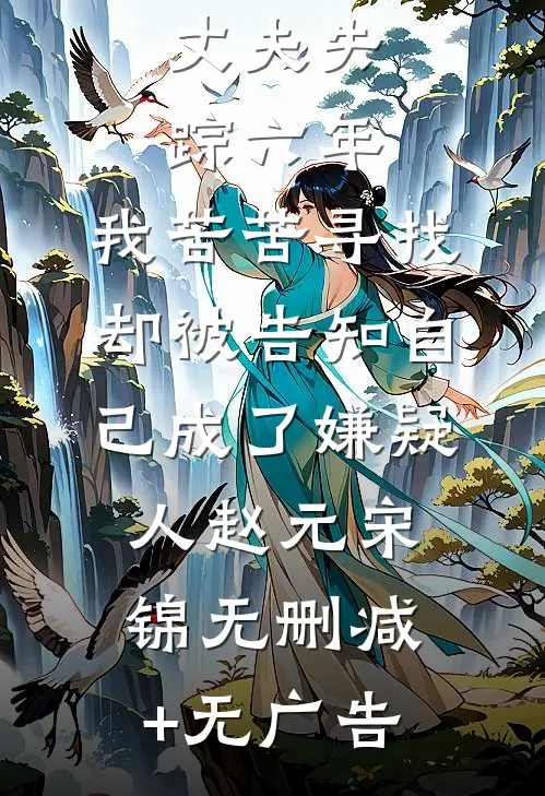 丈夫失踪六年，我苦苦寻找却被告知自己成了嫌疑人赵元宋锦无删减+无广告