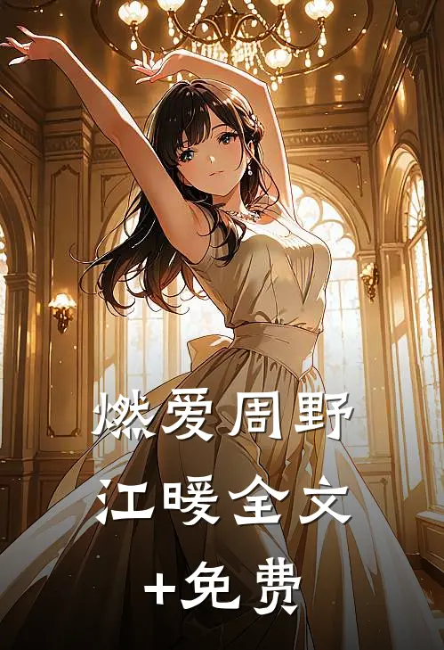 燃爱周野江暖全文+免费