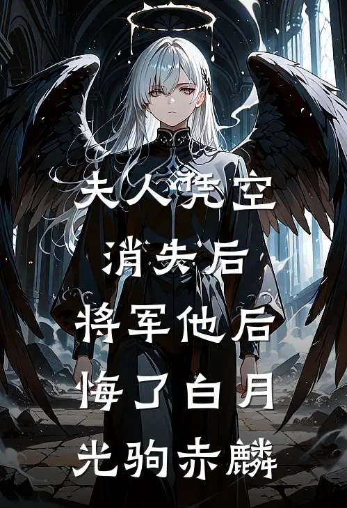 夫人凭空消失后，将军他后悔了白月光驹赤麟