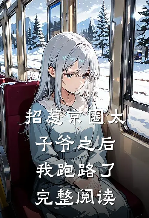 招惹京圈太子爷之后，我跑路了完整阅读