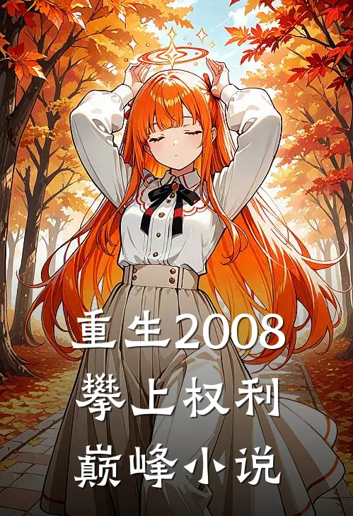 重生2008，攀上权利巅峰小说