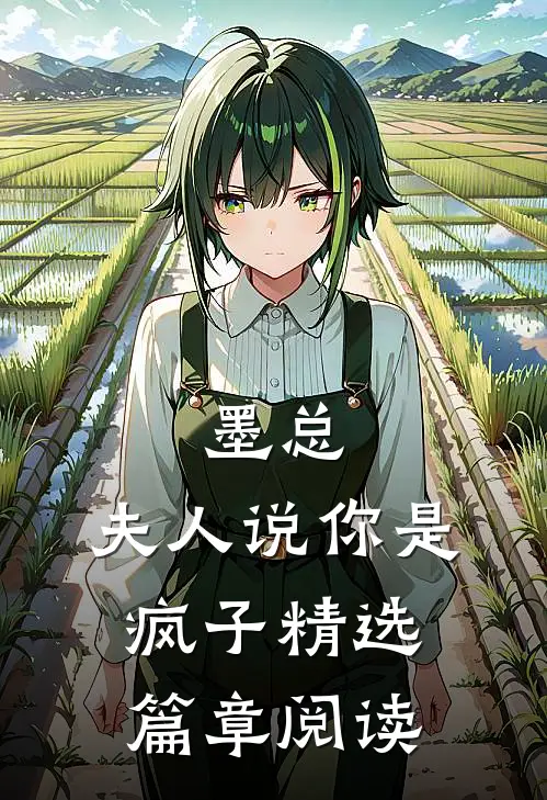 墨总，夫人说你是疯子精选篇章阅读