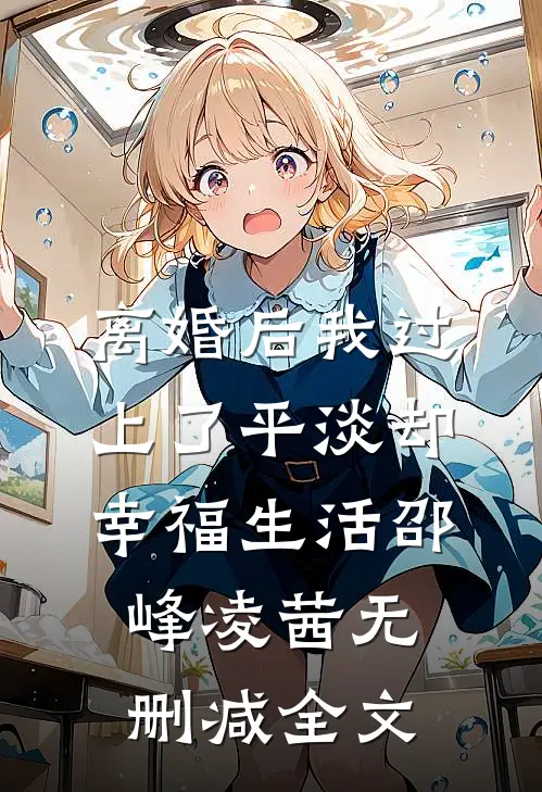 离婚后我过上了平淡却幸福生活邵峰凌茜无删减全文