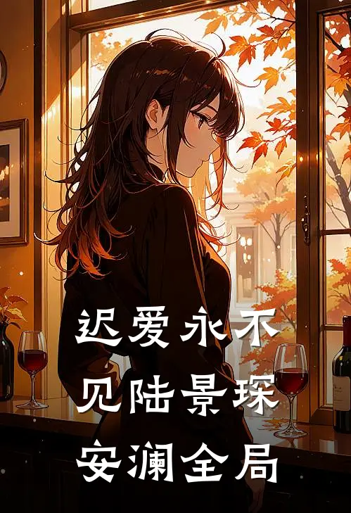 迟爱永不见陆景琛安澜全局