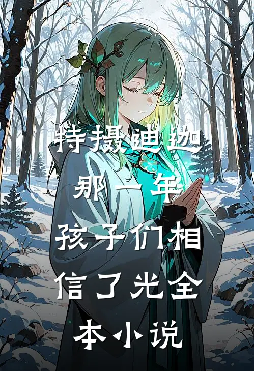 特摄迪迦：那一年，孩子们相信了光全本小说