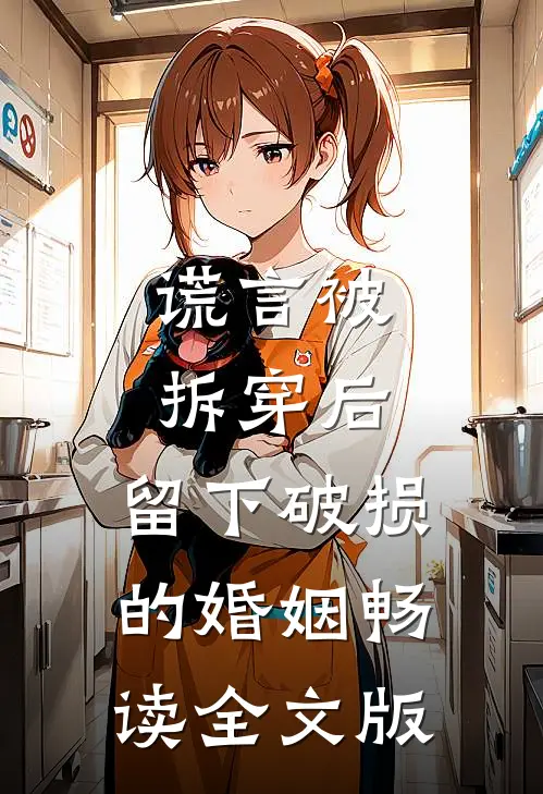 谎言被拆穿后，留下破损的婚姻畅读全文版