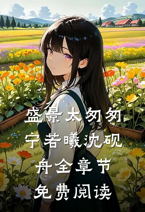 盛景太匆匆宁若曦沈砚舟全章节免费阅读