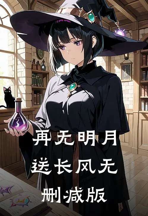 再无明月送长风无删减版