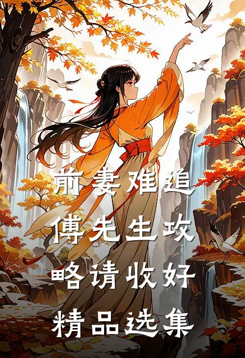 前妻难追，傅先生攻略请收好精品选集