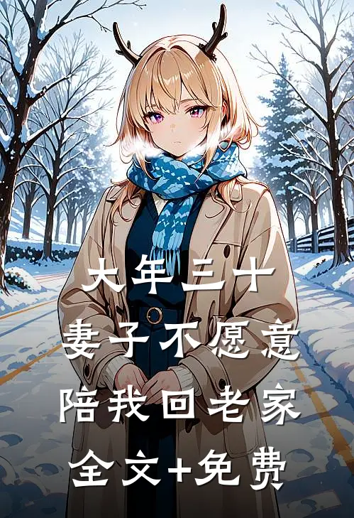 大年三十，妻子不愿意陪我回老家全文+免费