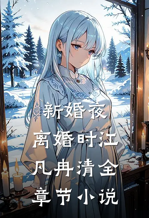新婚夜，离婚时江凡冉清全章节小说