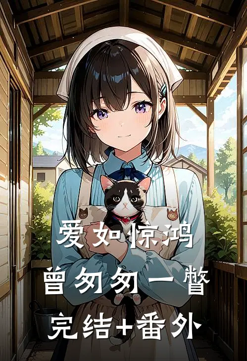 爱如惊鸿，曾匆匆一瞥完结+番外