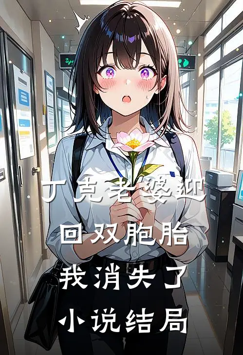 丁克老婆迎回双胞胎，我消失了小说结局