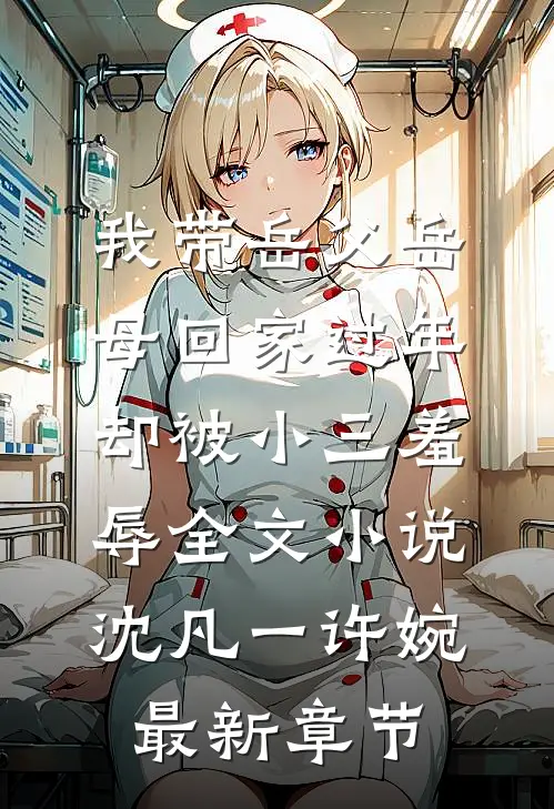 我带岳父岳母回家过年，却被小三羞辱全文小说沈凡一许婉最新章节