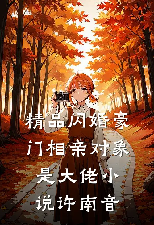 精品闪婚豪门相亲对象是大佬小说许南音