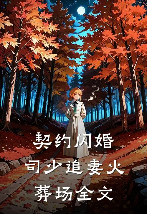 契约闪婚：司少追妻火葬场全文