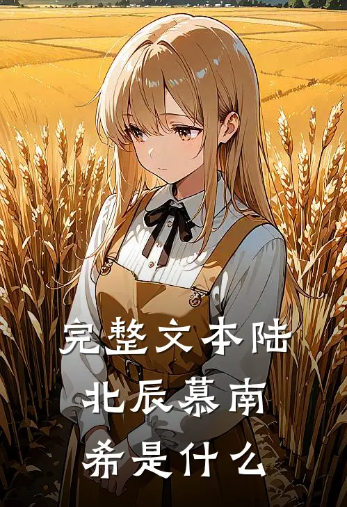 完整文本陆北辰慕南希是什么