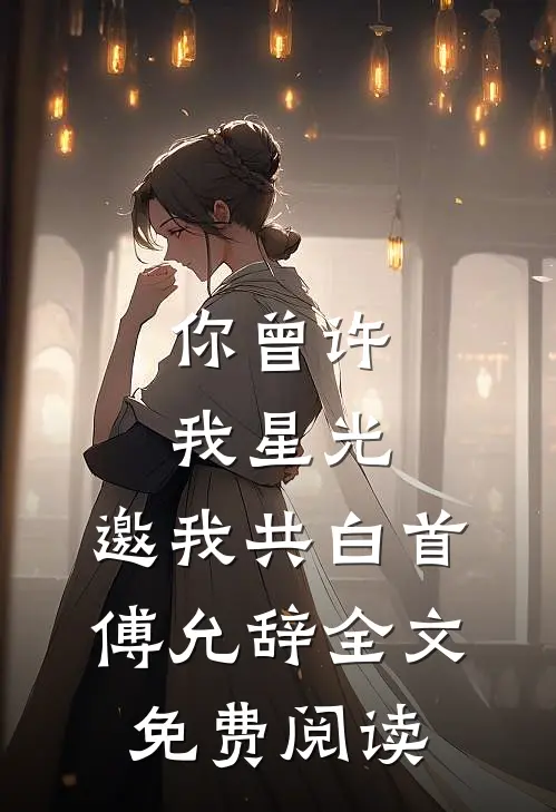 你曾许我星光，邀我共白首傅允辞全文免费阅读
