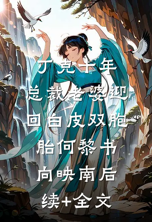 丁克十年，总裁老婆迎回白皮双胞胎何黎书向映南后续+全文